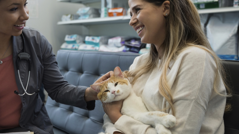 VCA Lakeside Animal Hospital